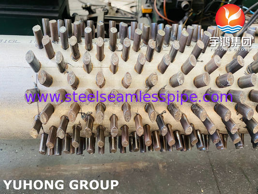 ASTM A312 TP316L Rurka z płetwami z wyżinością dostosowywalną dla odpornych na korozję systemów wymiany ciepła