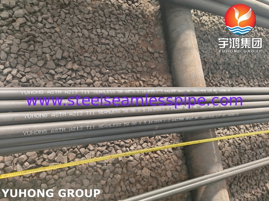 ASTM A213 klasa T11 Chrome Moly Alloy Steel Seamless Boiler Tube