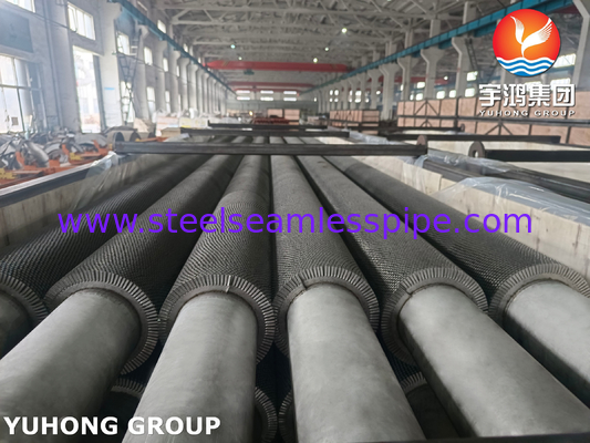 TP304H HFW Fin Tube Serrated Type ASTM A312 dla HRSG Heat Recovery Steam System