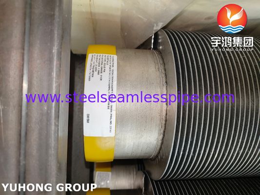 ASTM A376 TP347H Solid Spiral High Frequency weld HFW Fin Tube Z 11Cr