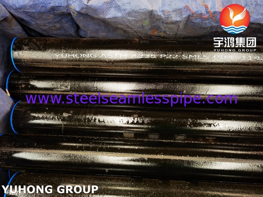 ASME SA335 P22 1.25Cr-0.5Mo Seamless Ferritic Alloy Steel Pipe for Power Plant Boilers