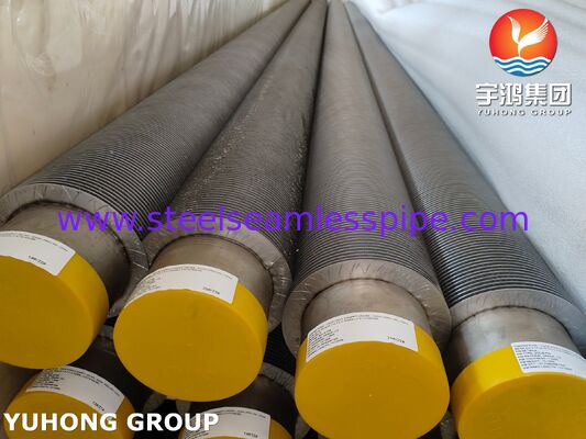 ASTM A376 TP347H Fin Tube CS, wysokotemperaturowa kompozytowa rurka z płetwami (podłoga CS + TP347H Fin)