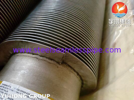 TP347H High-Frequency Welded Finned Tubes for Power Plants